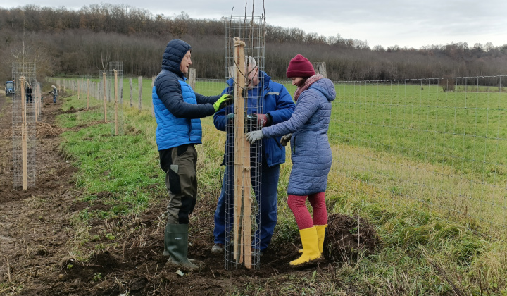 Cesta zdravia v Krškanoch  - 22.11.2025