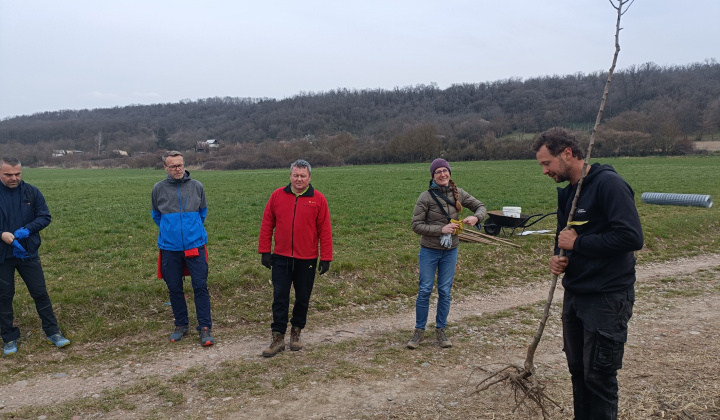 Aktuality / Sadili sme budúcnosť! - foto