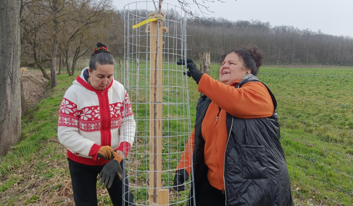 Aktuality / Sadili sme budúcnosť! - foto