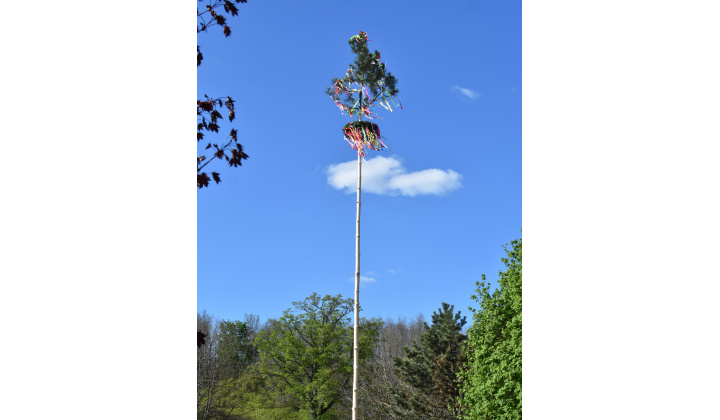 Fotka pre článok Háj dievky háj, staviame Vám máj!