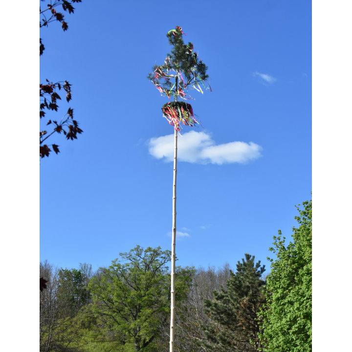 Menšia fotka pre článok Háj dievky háj, staviame Vám máj!