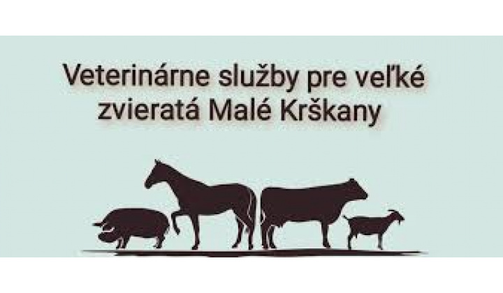 Fotka pre článok Očkovanie psov a mačiek v obci