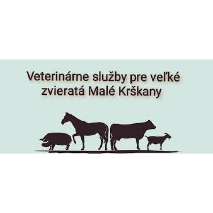 Menšia fotka pre článok Očkovanie psov a mačiek v obci