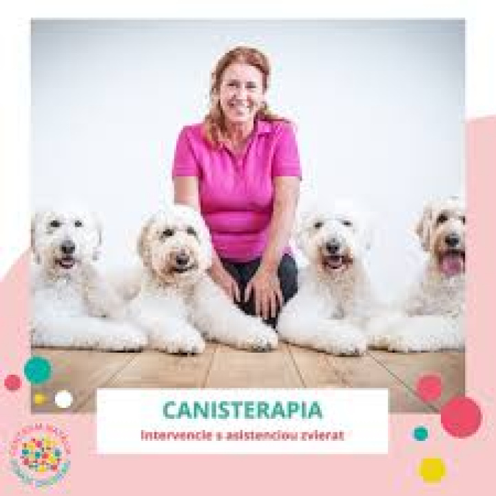 Menšia fotka pre článok Pozvánka na canisterapiu s Kvetkou